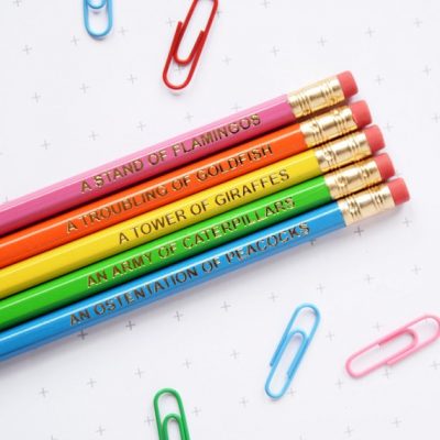 Collective Animal Nouns Set of Pencils