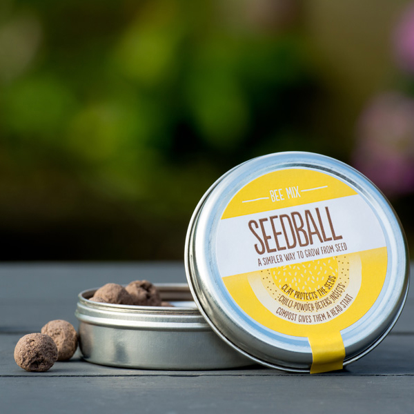 Bee Mix Seedballs