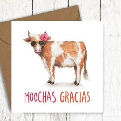 Moochas Gracias Greetings