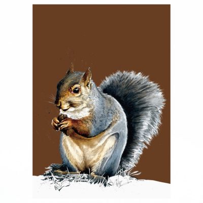 A4_Prints_Square_Grey_Squirrel