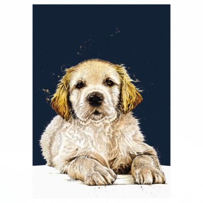 A4_Prints_Square_Guide_Dog_Puppy