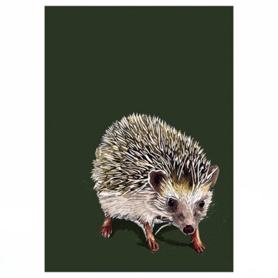 A4_Prints_Square_Kimchi_Hedgehog