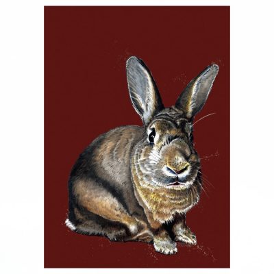 A4_Prints_Square_Meg_Rabbit