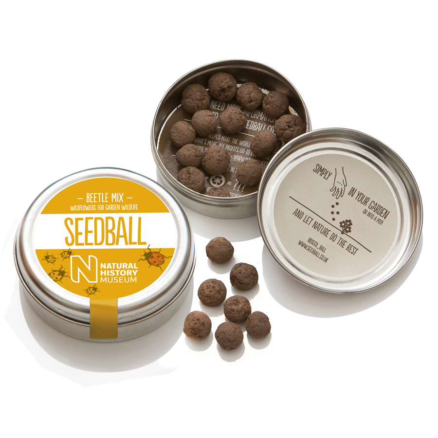 seedball_product-beetle-06