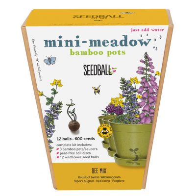 SEEDBALL_miniMeadow-Bee-front