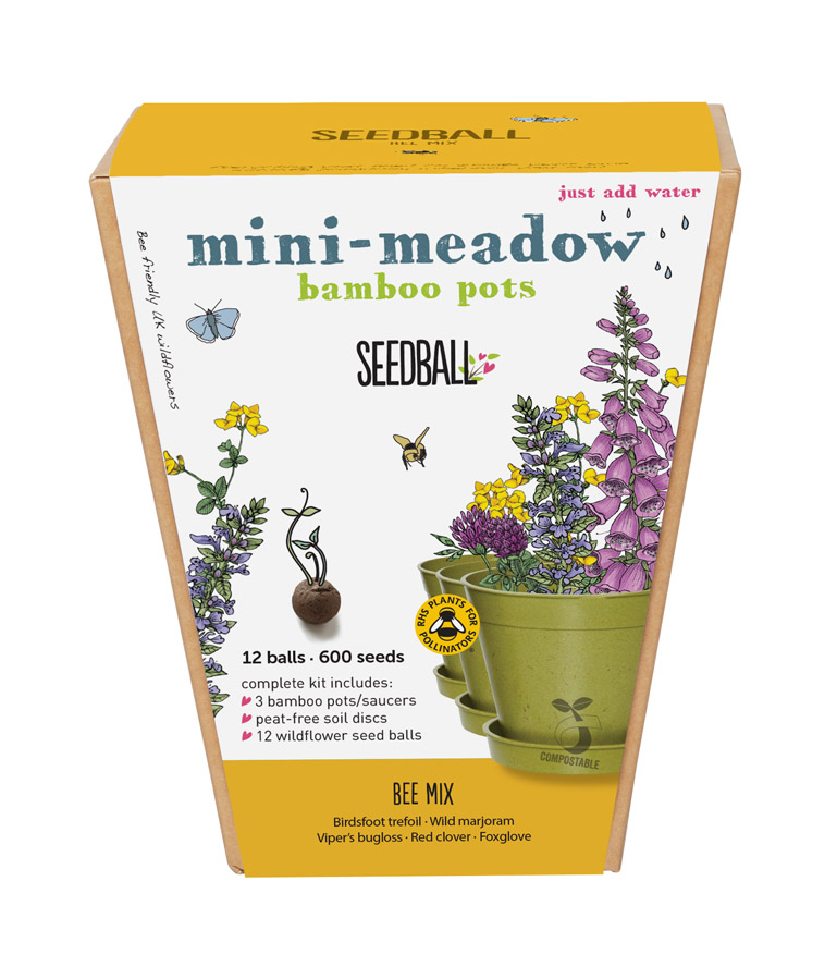 SEEDBALL_miniMeadow-Bee-front