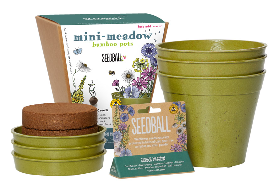 Seedball-Mini-Meadow-Pot-Contents-Garden-Meadow (1)