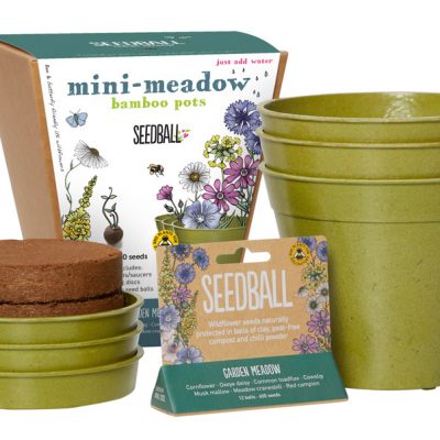 Seedball-Mini-Meadow-Pot-Contents-Garden-Meadow