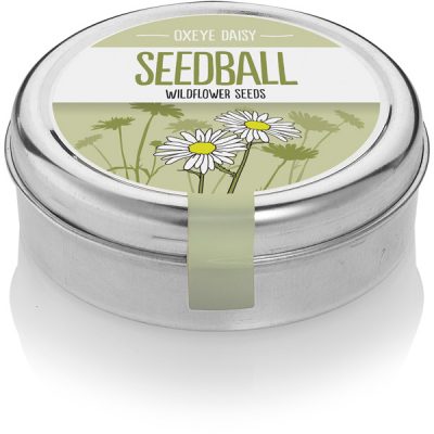 seedball_product-oxeyedaisy-01