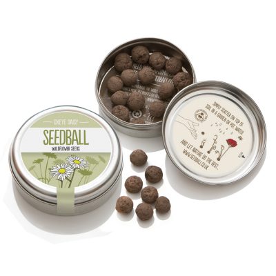seedball_product-oxeyedaisy-06