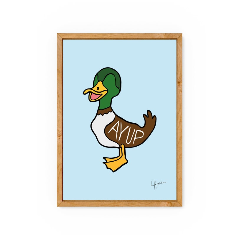 ay up duck