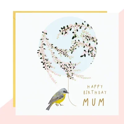 Mum Bird And Balloon