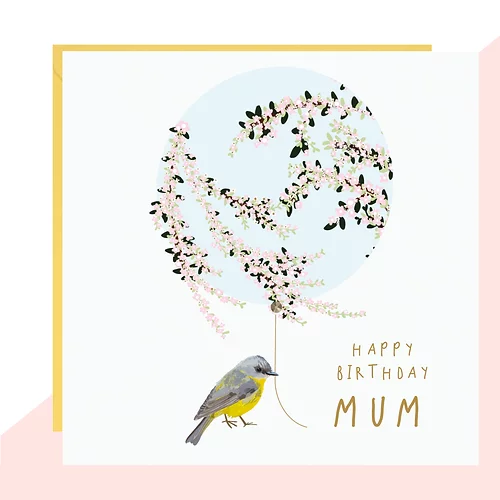 Mum Bird And Balloon