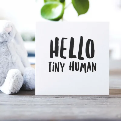 hello tiny human 1