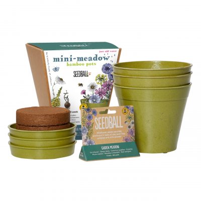 Seedball-Mini-Meadow-Pot-Contents-Garden-Meadow-copy-scaled