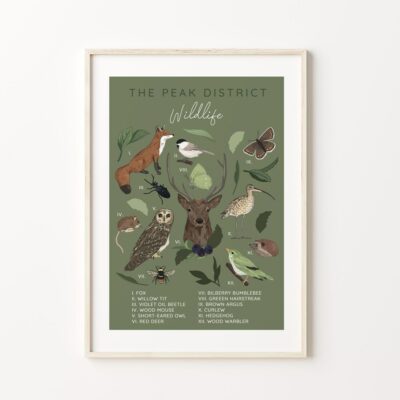 The Peak District Wildlife A3 Unframed Print