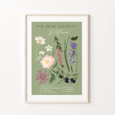 The Peak District Wildflowers A3 Unframed Print