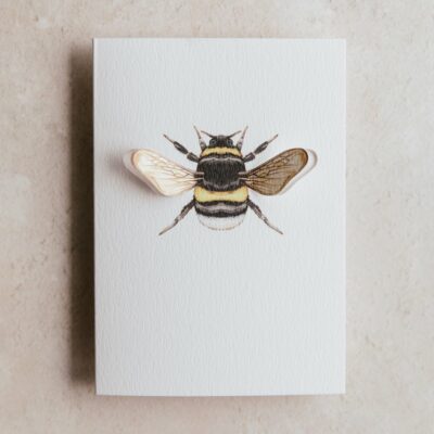 SB328 bumble bee 1