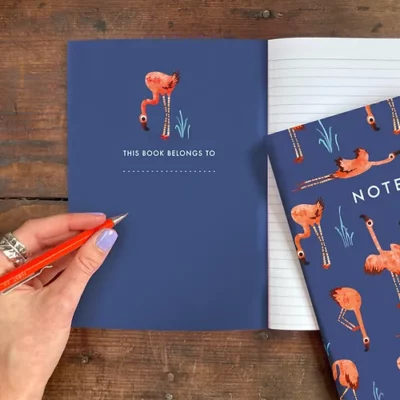 flamingo notebook 1