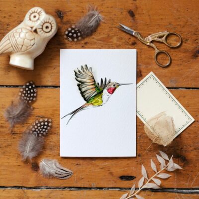 kingfisher 3d card