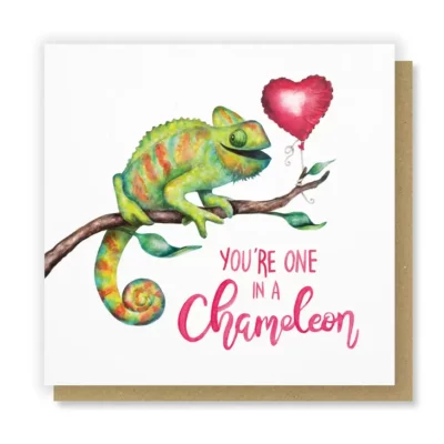one in a chameleon