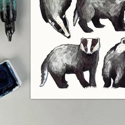 postcard badgers 1