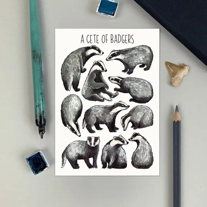 postcard badgers