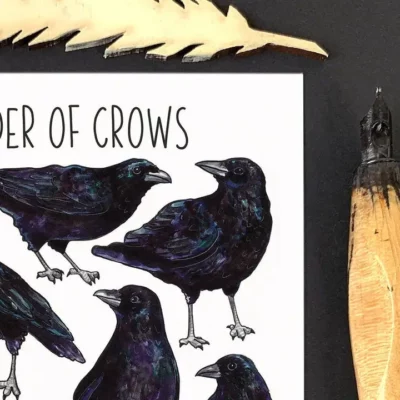 postcard crows 1