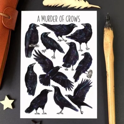 postcard crows