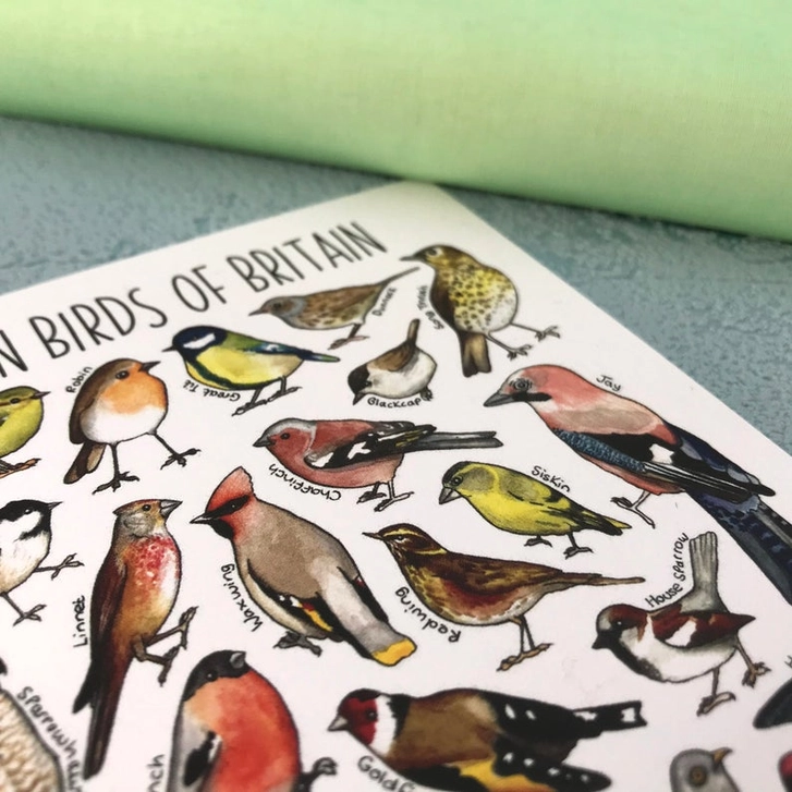 postcard garden birds 1
