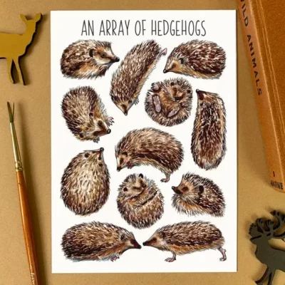 postcard hedgehogs