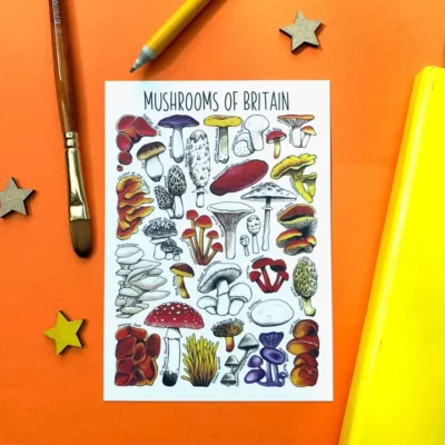 postcard mushroom