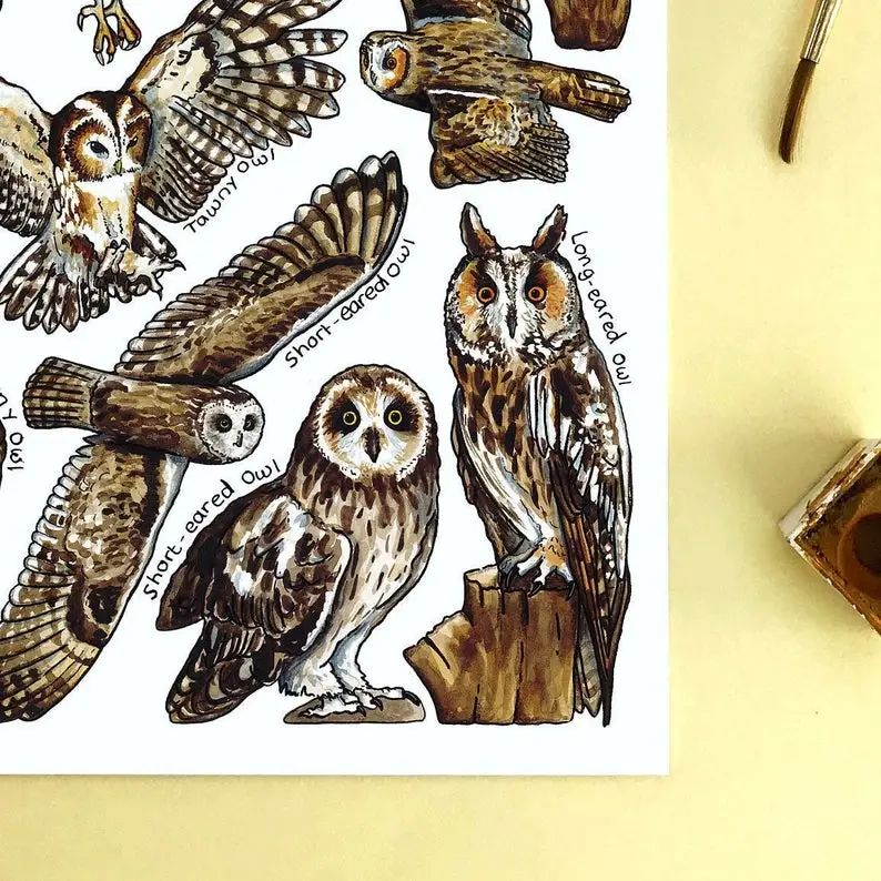postcard owls 1