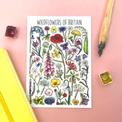 postcard wildflowers