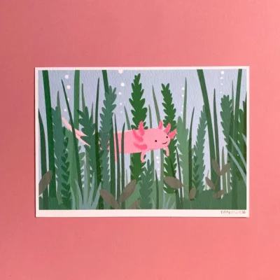 Axolotl Mini Print A5 Unframed